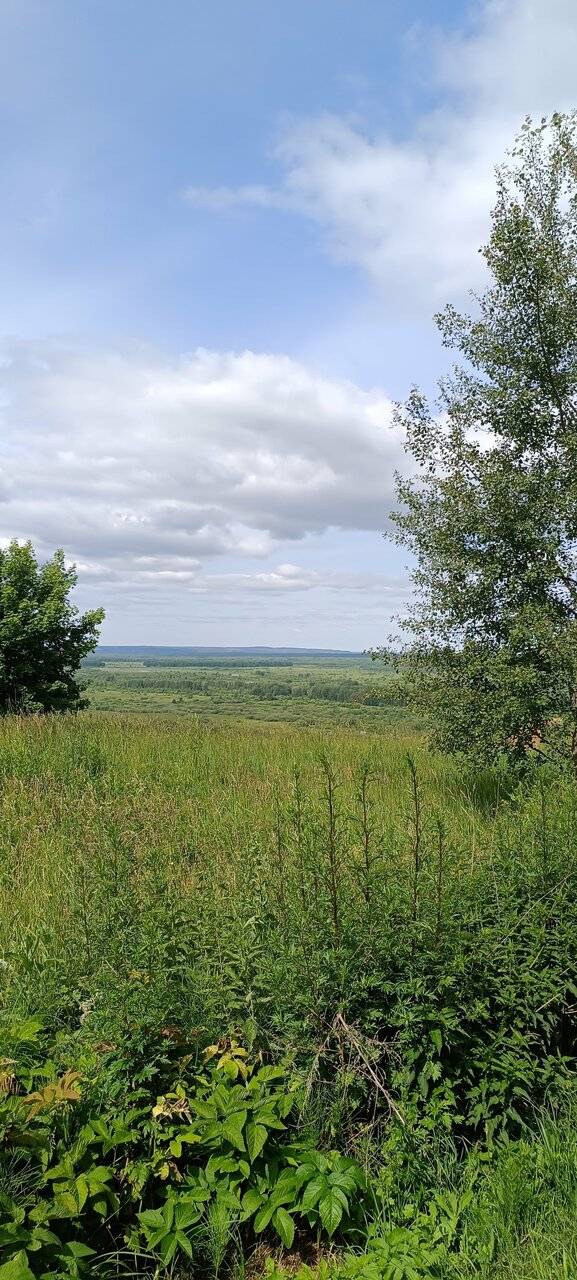 Фото Гостиницы Лабиринт Гороховец 121