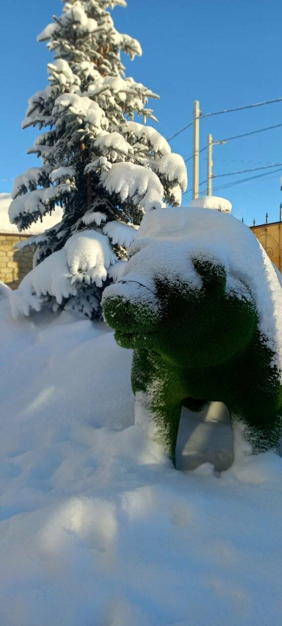 Фото Гостиницы Лабиринт Гороховец 80